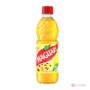 Maguary Concentrate Maracuja
