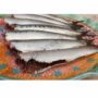 GZ INDIAN SARDINE