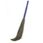 Indian Broom Soft